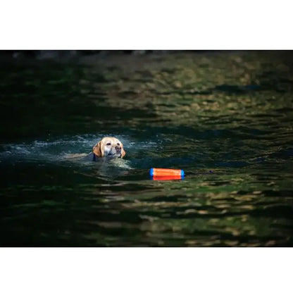 Chuckit! Bumper Jouet flottant pour chien pour les jeux aquatiques Petit