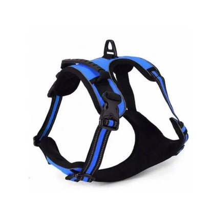 Harnais pour chien Lion Pet RX003, coupe quotidienne confortable, taille M, 53-63 cm