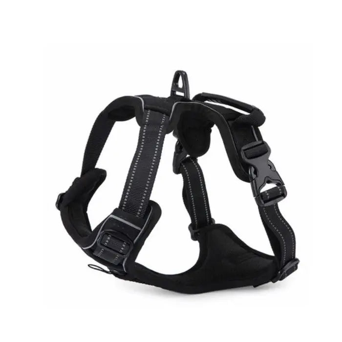 Harnais pour chien Lion Pet RX003, coupe quotidienne confortable, taille M, 53-63 cm