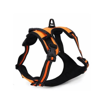Harnais pour chien Lion Pet RX003, coupe quotidienne confortable, taille M, 53-63 cm