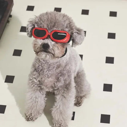 Lunettes de protection pour chien M-Pets Sunny Daytrip rouge