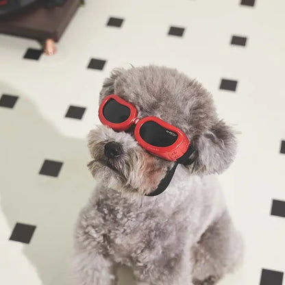 Lunettes de protection pour chien M-Pets Sunny Daytrip rouge