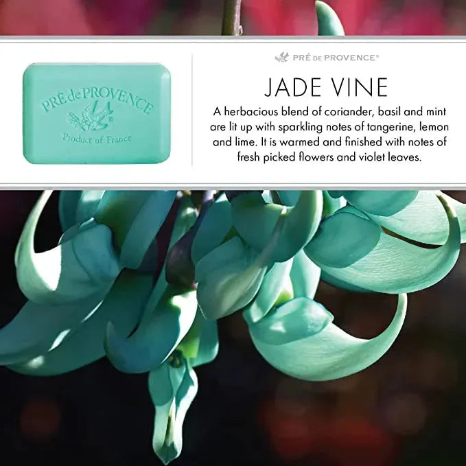 Pre De Provence Jade Vine Shea Butter Enriched Vegetable Soap 150g Vegetable Soap Pasteur Pharmacy