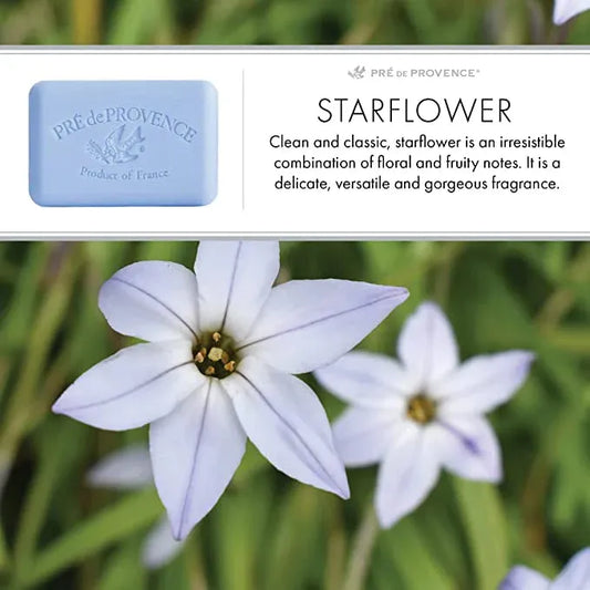 Pre De Provence Starflower Shea Butter Enriched Vegetable Soap 150g Bar Soap Pasteur Pharmacy