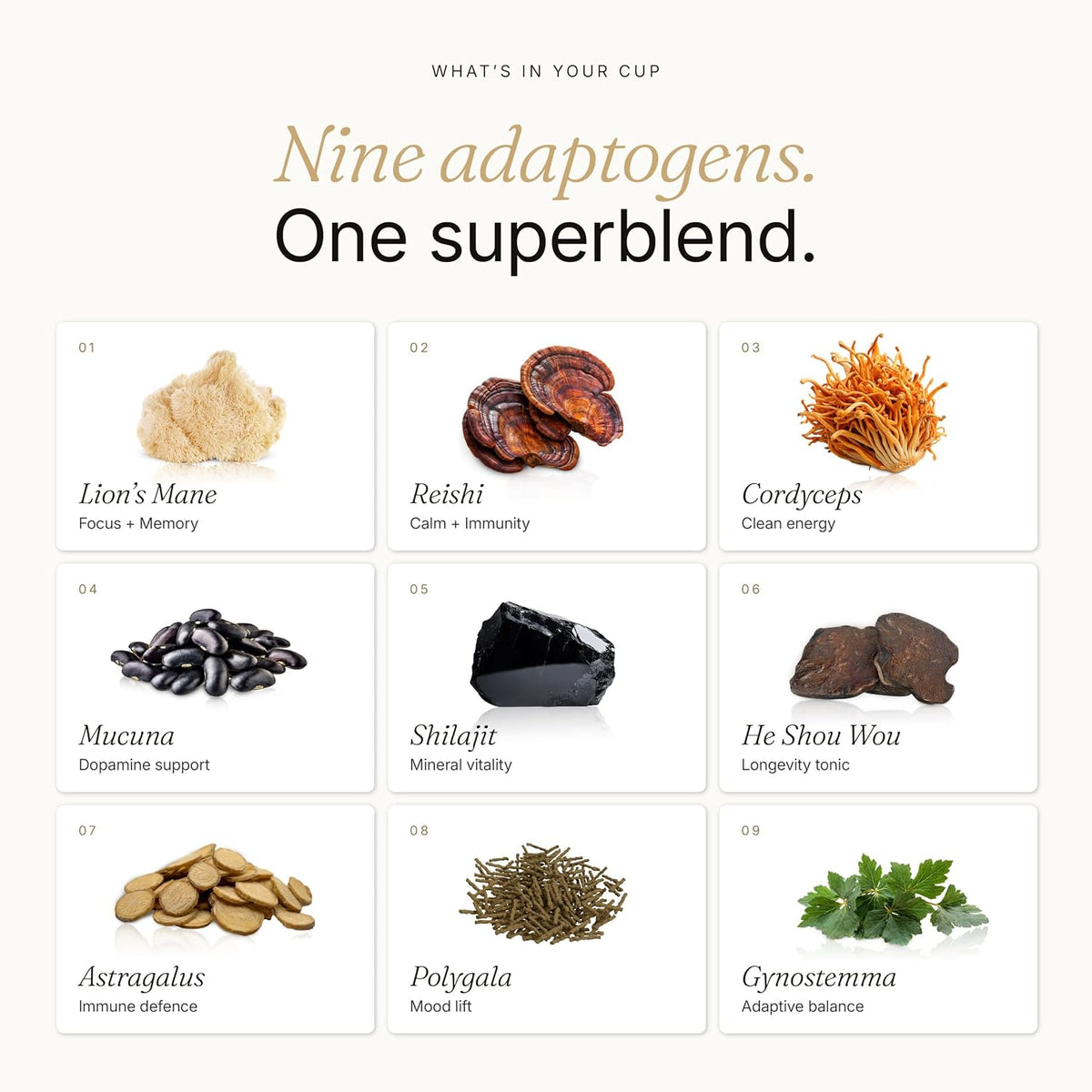 Alcami Elements Original Superfood Blend with Adaptogenic Mushrooms – 180 g