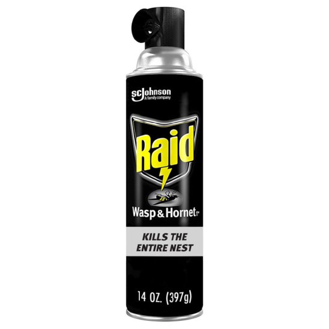 Raid Wasp And Hornet Killer, 14 Oz Aerosol Spray Pest Control Pasteur Pharmacy