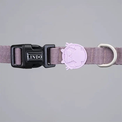 Lindo Collier pour chien réglable à motifs, taille M 37-56 cm