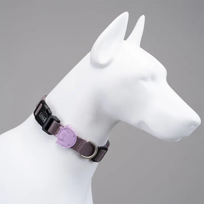 Collier pour chien Lindo, petit modèle réglable à motifs, tour de cou 30-44 cm