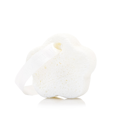 Esponja Fleur de Narcisse | Florica