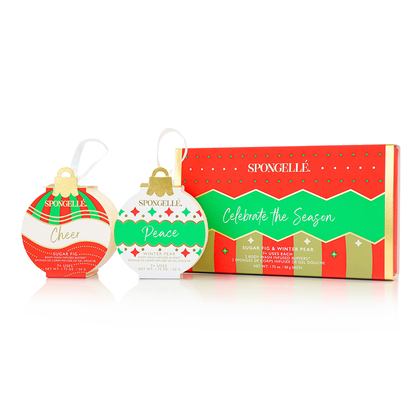 Celebre la temporada | Juego de regalo de adornos navideños