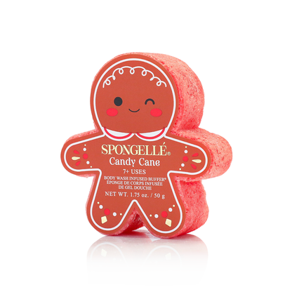 Sugar & Spice | Juego de regalo de jengibre navideño