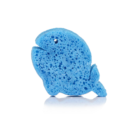 Walter la Ballena | Animales Marinos