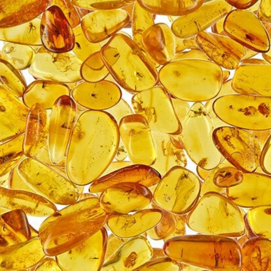 Ambre