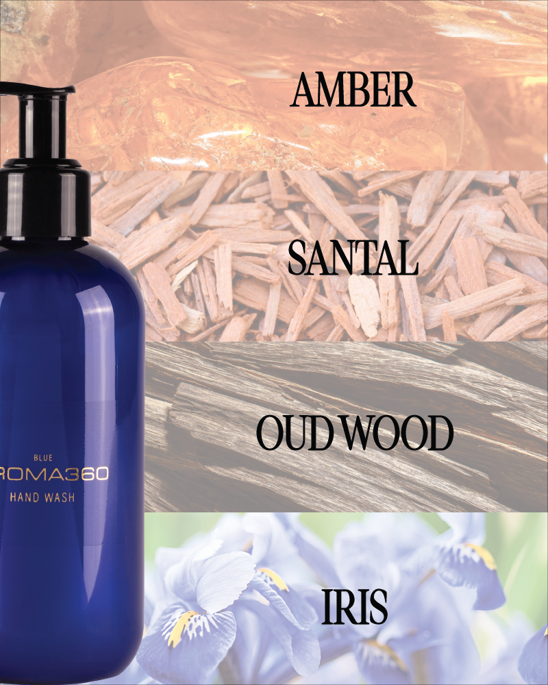 Aroma360 Blue Hand Wash Hand Wash Aroma360