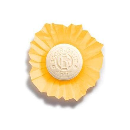 Roger & Gallet Bois D' Orange Wellbeing Soap 3.5 oz Wellbeing Soap Pasteur Pharmacy