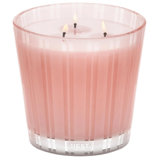 Diptyque Himalayan Salt & Rosewater Scented Candle - Relaxing Fresh Floral Candle for a Calming Atmosphere