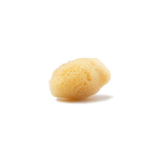 The Sponge Company Sea-Silk Cosmetic Sponge #2 1Pc Med [101-02] Cosmetic Sponge Pasteur Pharmacy