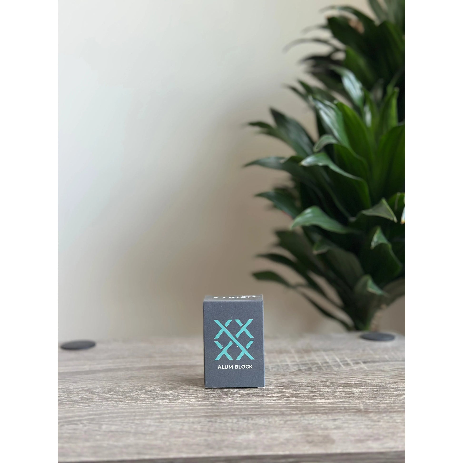 XYRISM Alum Block 100g Alum Block Pasteur Pharmacy