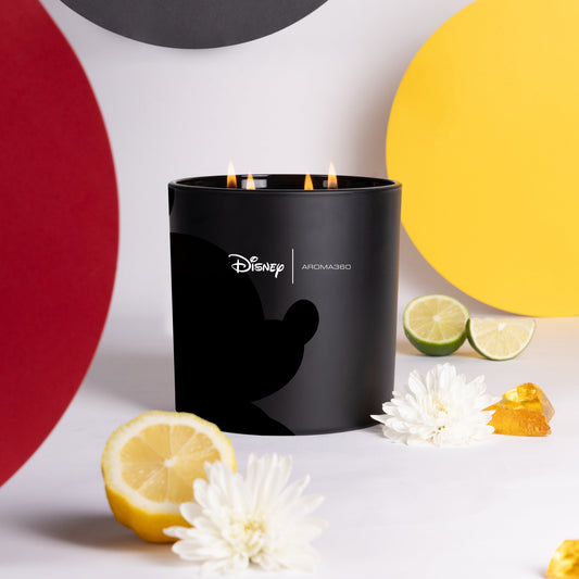 Aroma360 Started With A Mouse 4-Wick Candle Candle Aroma360