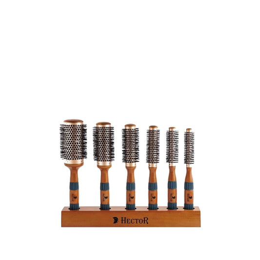 Hector Hair Brush Set - 6 Piece Vent Design for Detangling and Styling