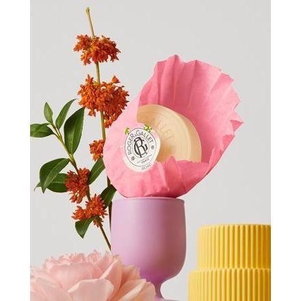 Roger & Gallet Rose Wellbeing Soaps Box of 3x3.5 oz Bar Soap Pasteur Pharmacy