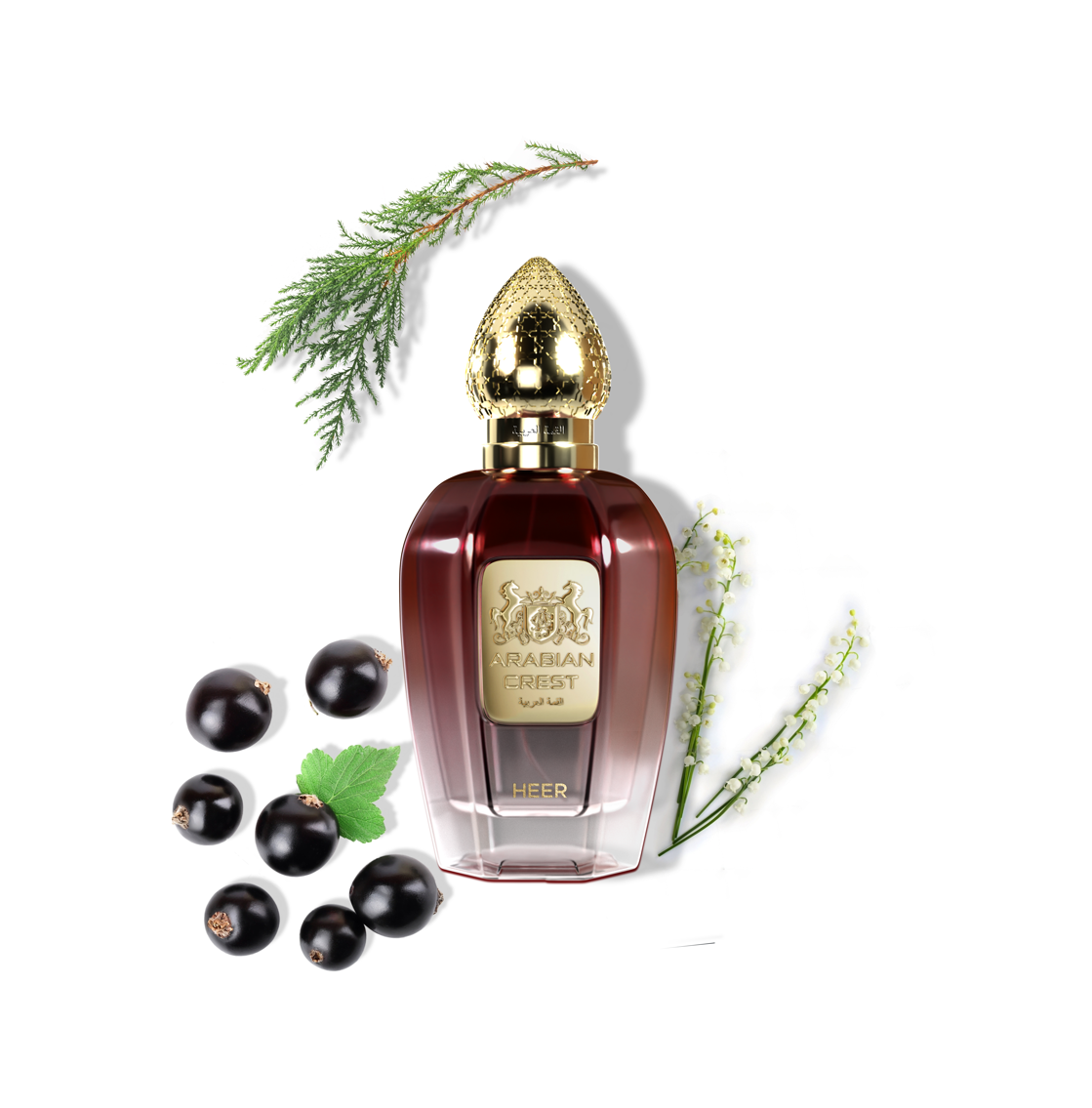ARABIAN CREST DUBAI Heer Single ARABIAN CREST DUBAI™