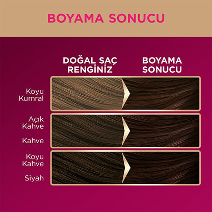 Tinte para el cabello Palette Deluxe Chocolate: color intenso, duradero y brillante - Coloración permanente 3-65 Chocolate