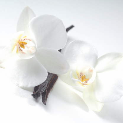 Madagascar Vanilla