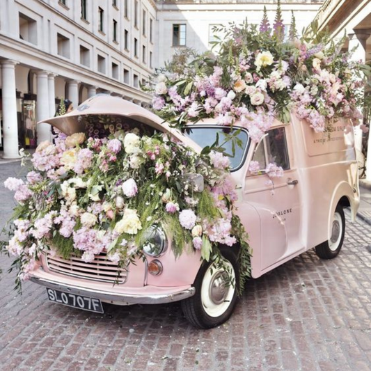 Flores de Chelsea