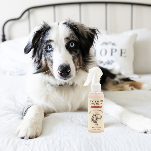 Sweet Almond | Waterless Dog Wash Pet Products MIXOLOGIE