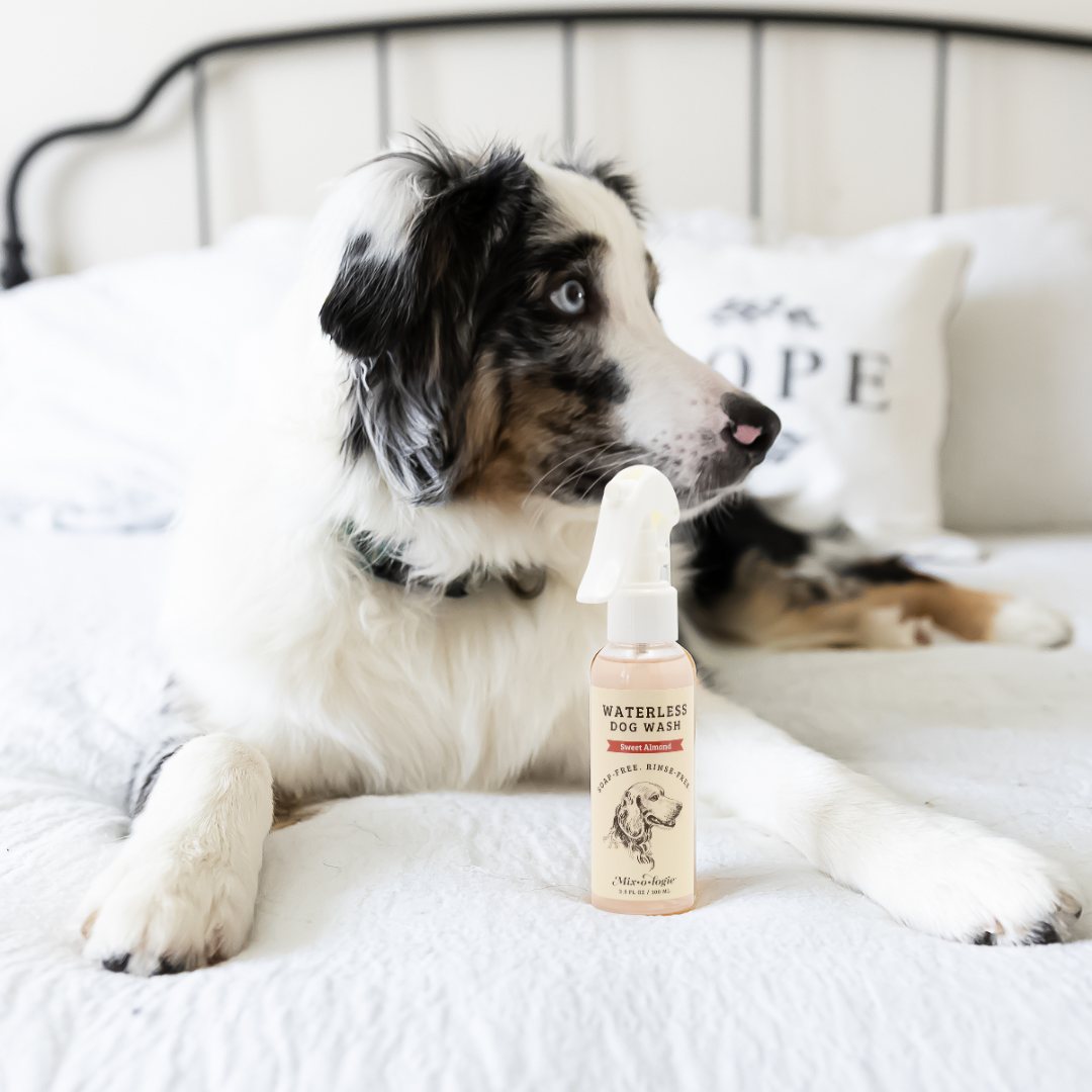 Sweet Almond | Waterless Dog Wash Pet Products MIXOLOGIE