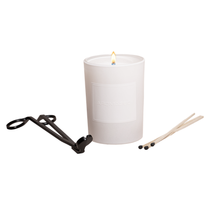 Aroma360 Sweetest Taboo Single-Wick Candle Candle Aroma360