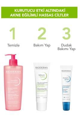 Bioderma Sébium Hydra: Crema hidratante facial intensa para pieles grasas, con tendencia acneica e irritadas | No comedogénico, reparación de la barrera cutánea