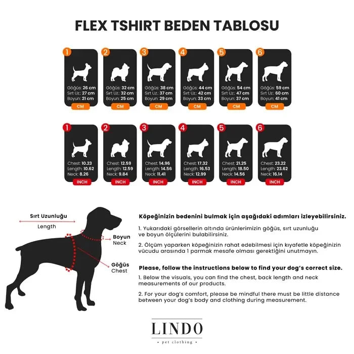 T-shirt Lindo Make Today Amazing Flex Dog, vêtement léger