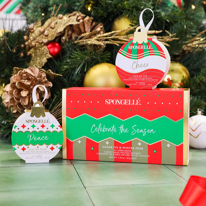 Celebre la temporada | Juego de regalo de adornos navideños