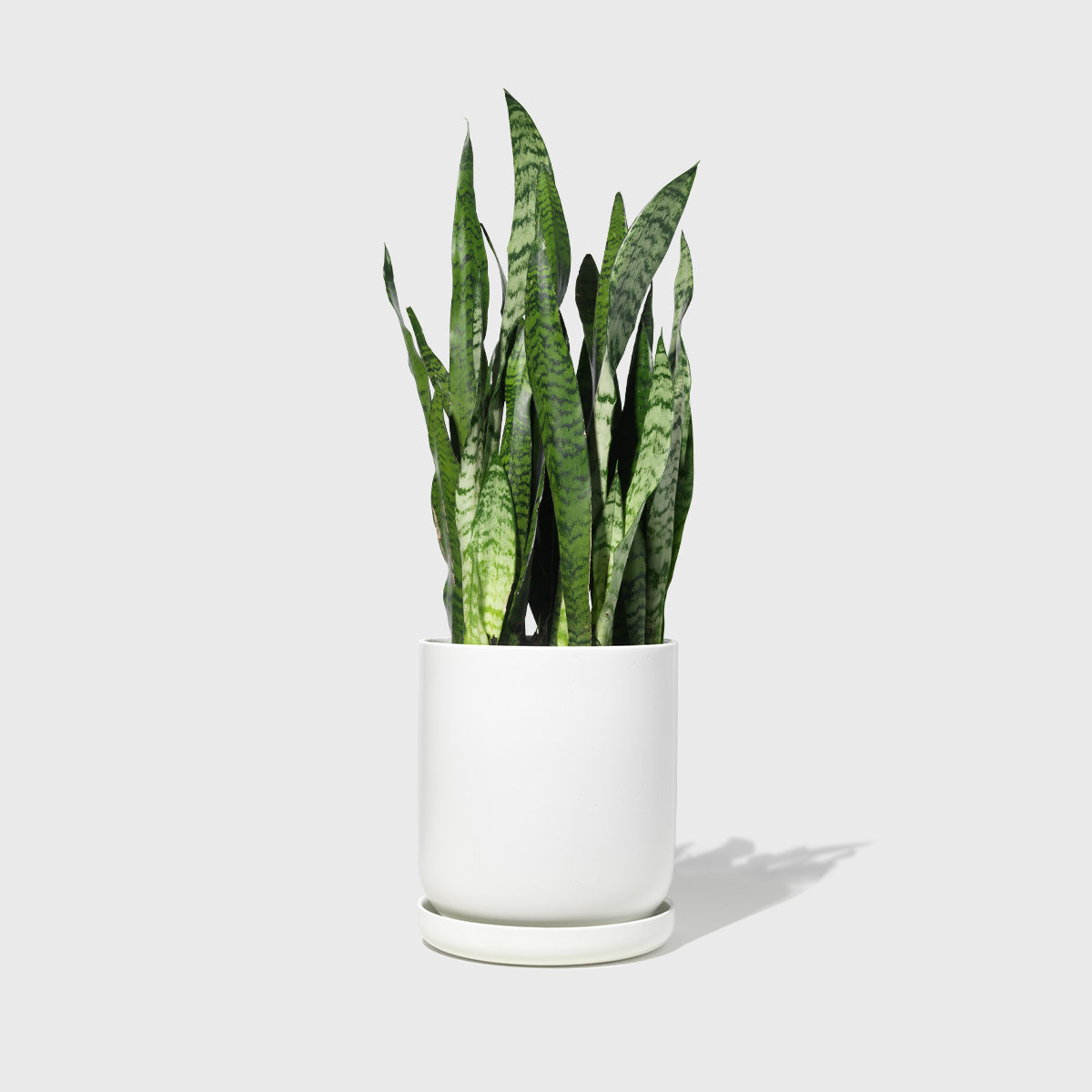 Large Stoneware Planter Public Goods