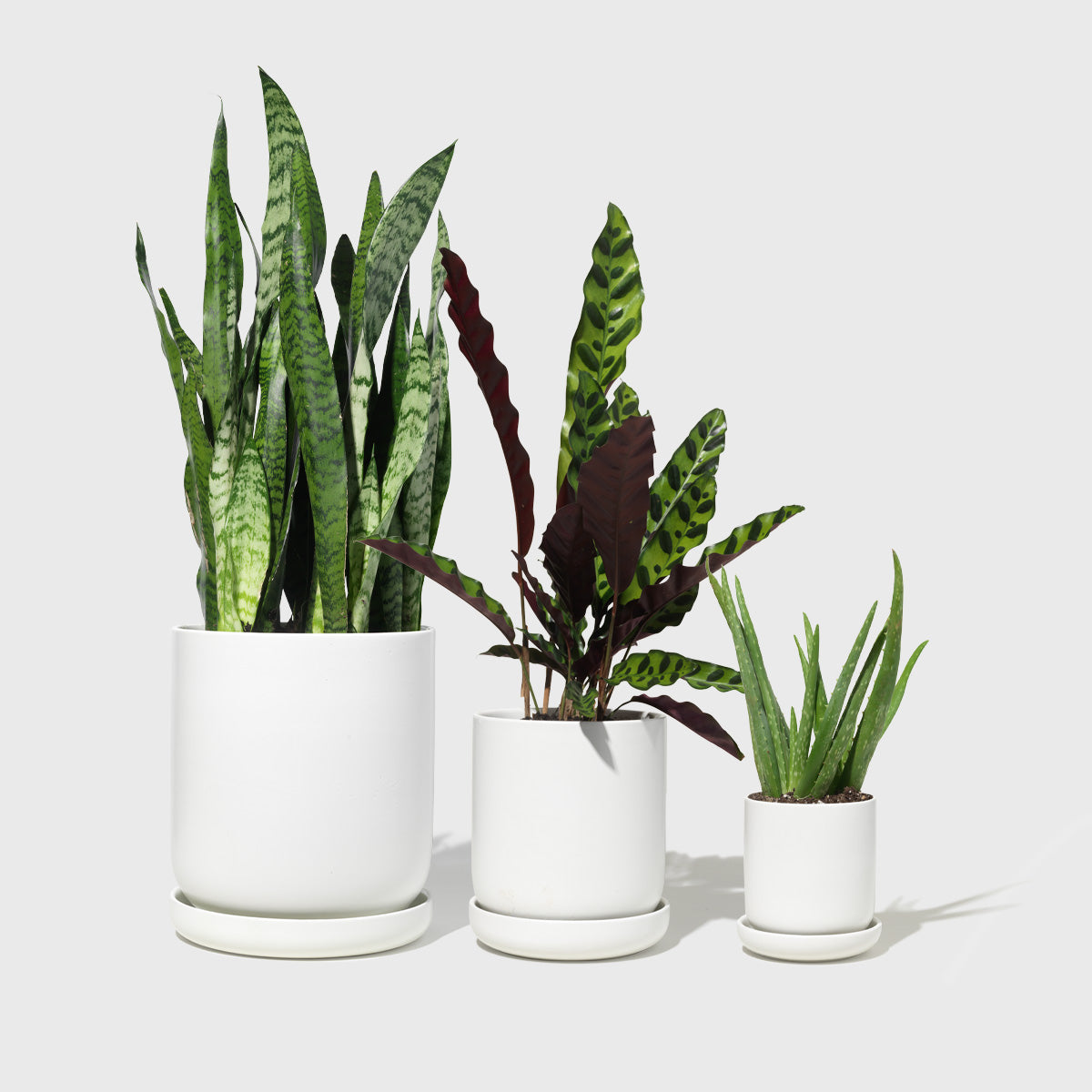 Assorted Stoneware Planters Public Goods
