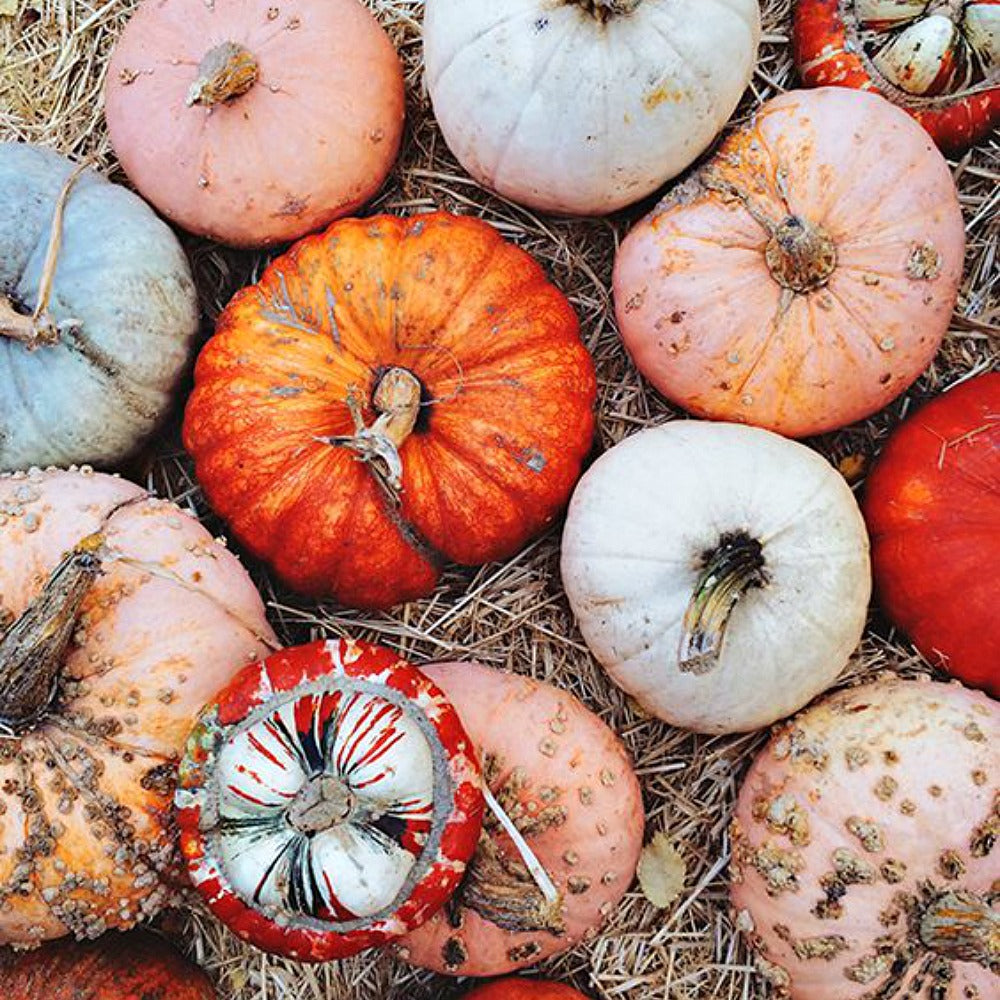 Calabaza con jengibre
