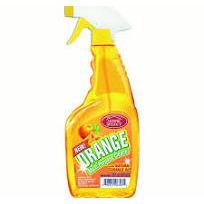 Orange Multi-Purpose Clnr 12x22oz All-Purpose Cleaners Pasteur Pharmacy