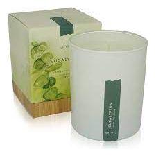 Thymes Poured Aromatic Candle Eucalyptus 9 Oz Aromatic Candle Pasteur Pharmacy