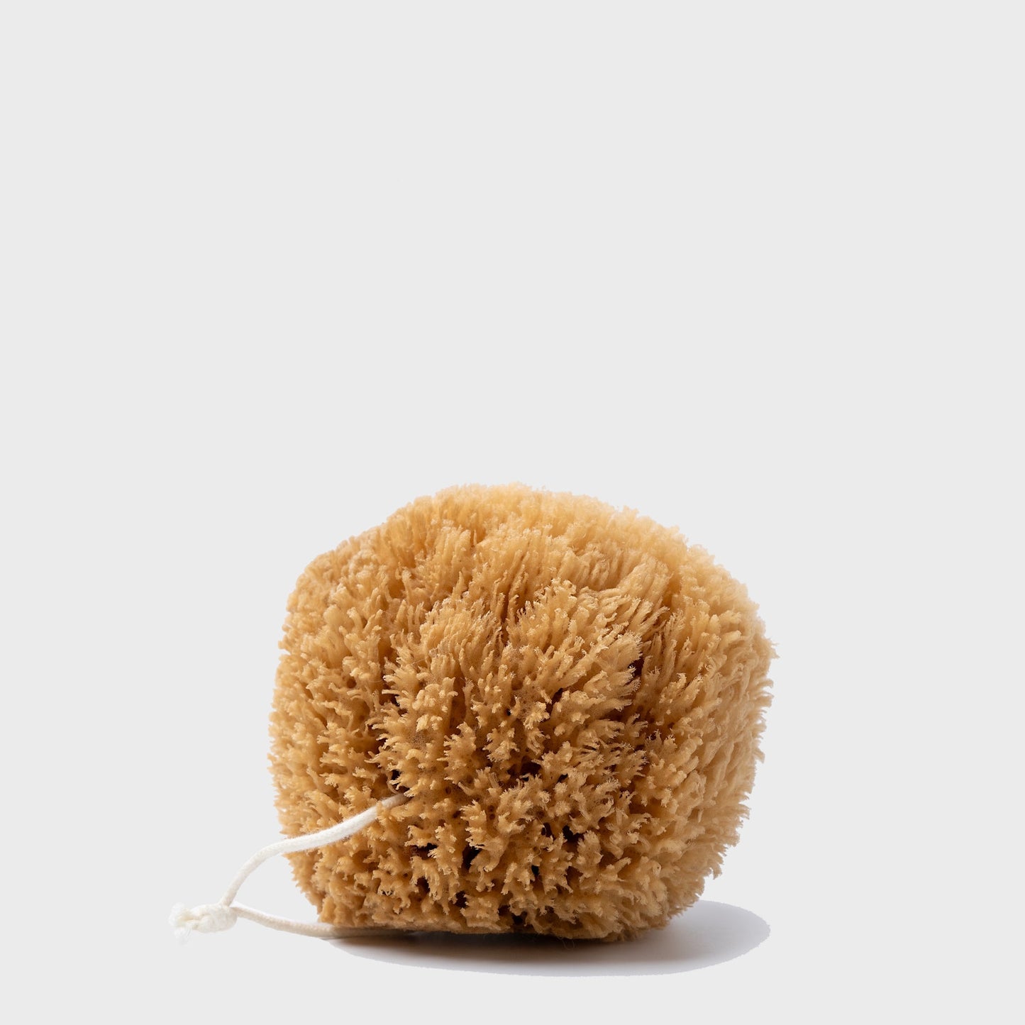 Exfoliating Grass Sea Sponge Personal Care Public Goods
