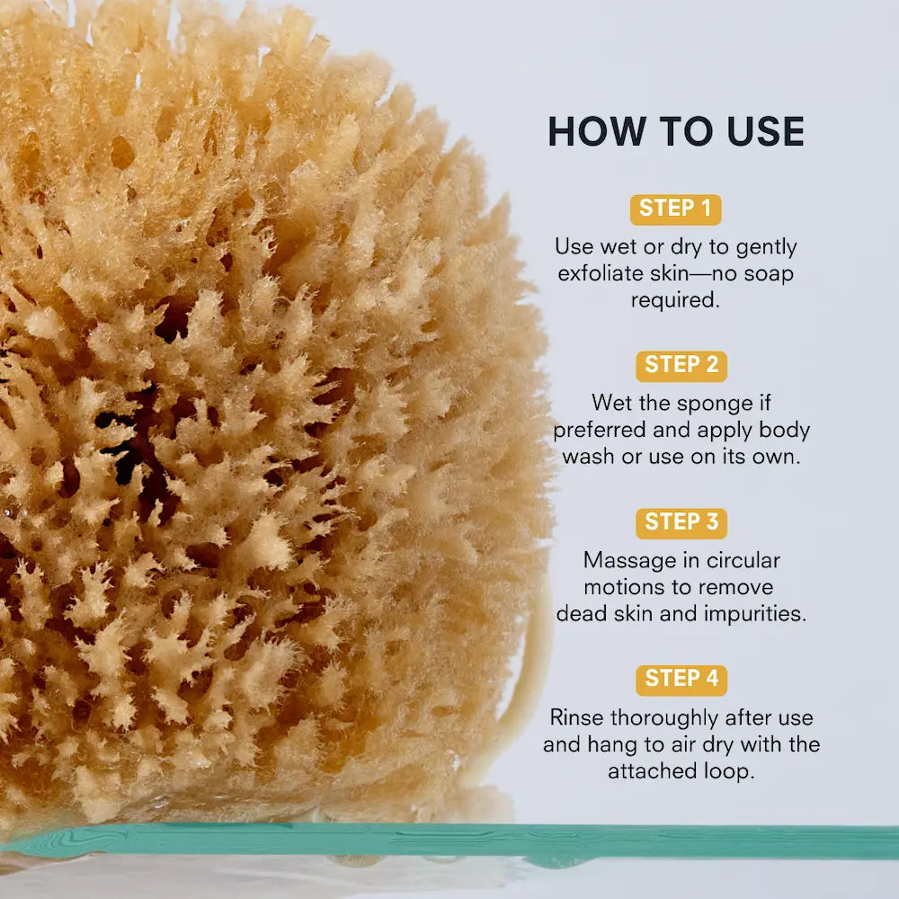 Exfoliating Grass Sea Sponge Personal Care Public Goods