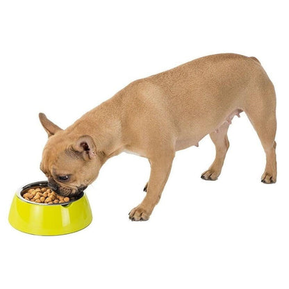 Écuelle pour chiens et chats en acier inoxydable Ferplast Jolie 500 ml