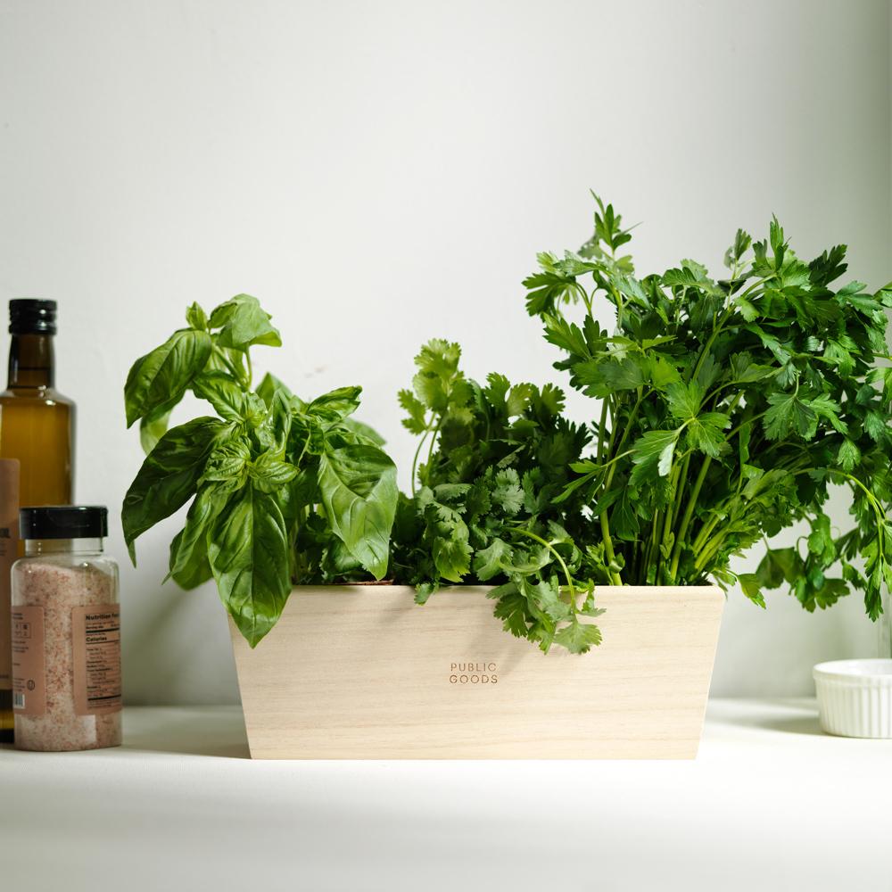 Indoor Herb Planter Household Public Goods