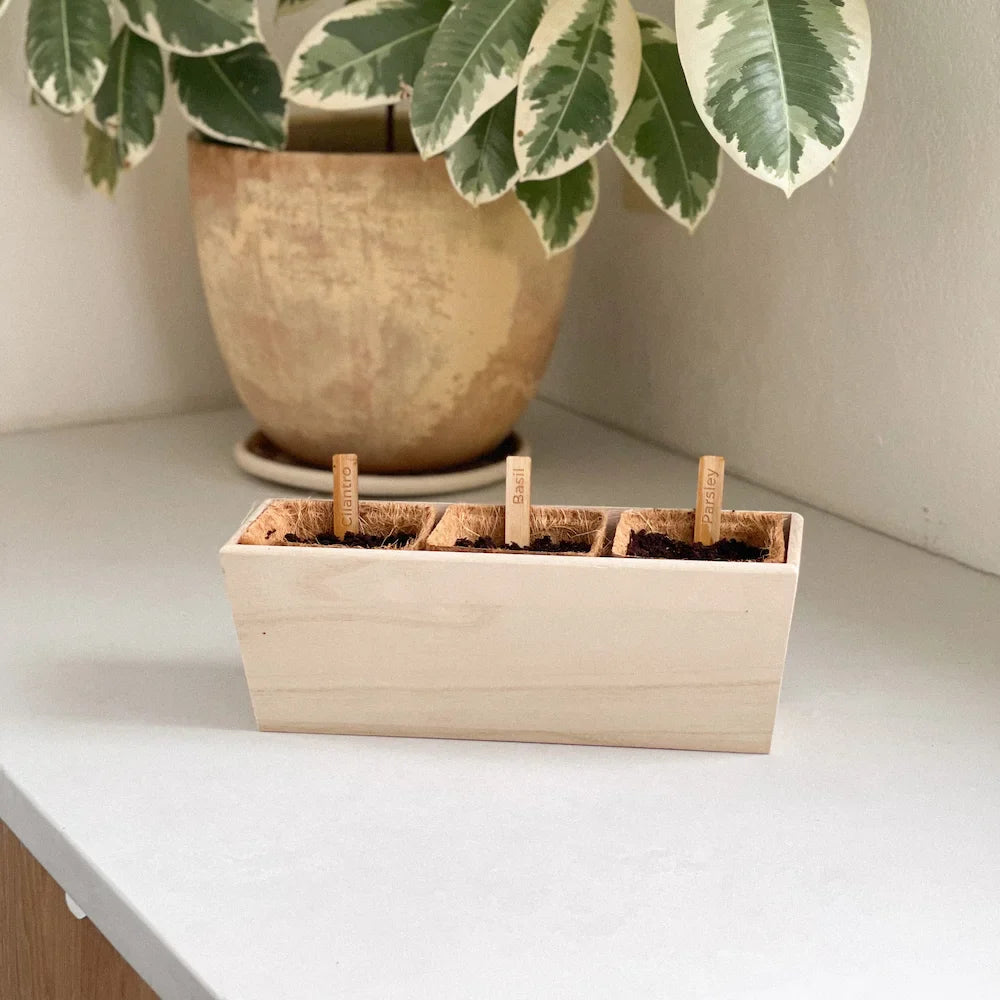 Indoor Herb Planter Household Public Goods