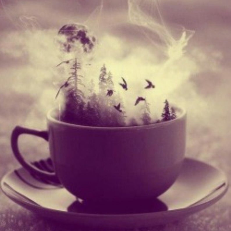 Fiesta de té de brujas