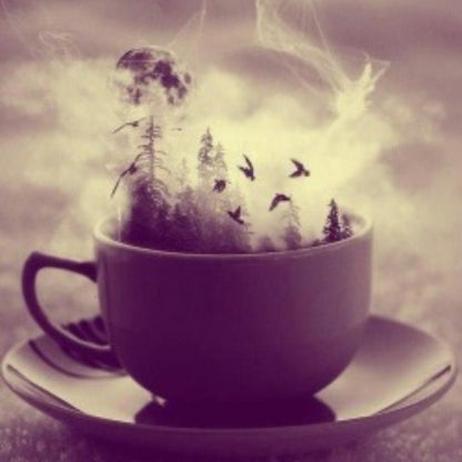 Fiesta de té de brujas