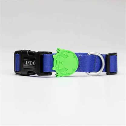 Collier pour chien Lindo Monster réglable, grande taille 46-70 cm