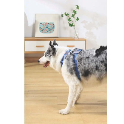 Harnais pour chien M-Pets Gentle Blue pour une marche confortable, taille moyenne