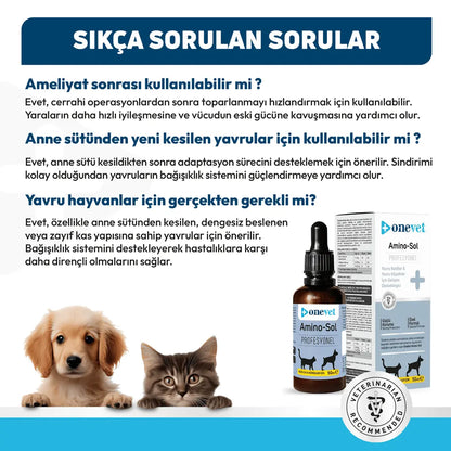 Gouttes de soutien à la croissance Onevet Amino-Sol pour chiots et chatons 30 ml